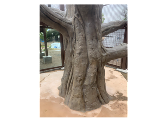 徳山動物園　擬木（マレーグマ舎）（山口県）のイメージ